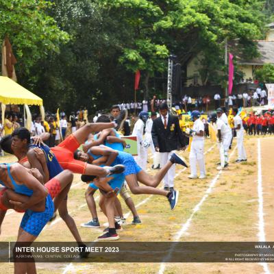 340127026 235798838927333 4035155447173337607 N