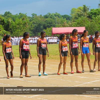 340292784 213863374616027 7871941441172920756 N