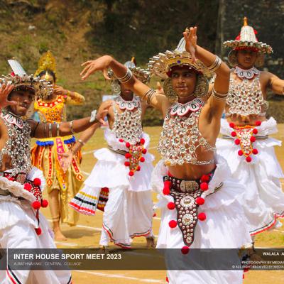 340373685 9021405661235409 2068542544136048679 N